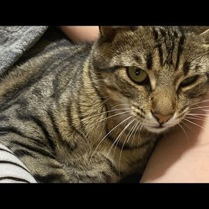 Meet your Posher, Minela